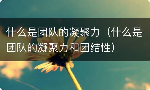 什么是团队的凝聚力（什么是团队的凝聚力和团结性）