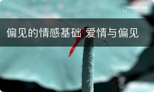 偏见的情感基础 爱情与偏见