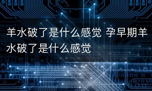 羊水破了是什么感觉 孕早期羊水破了是什么感觉