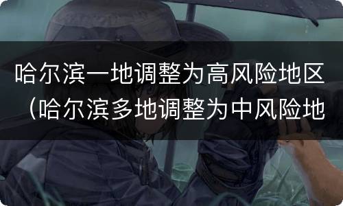 哈尔滨一地调整为高风险地区（哈尔滨多地调整为中风险地区）