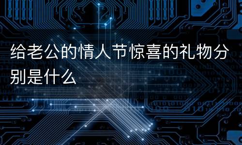 给老公的情人节惊喜的礼物分别是什么