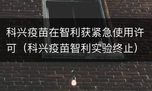科兴疫苗在智利获紧急使用许可（科兴疫苗智利实验终止）