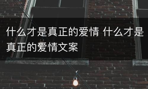 什么才是真正的爱情 什么才是真正的爱情文案