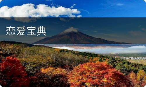 恋爱宝典