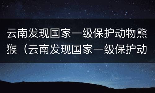 云南发现国家一级保护动物熊猴（云南发现国家一级保护动物熊猴子了吗）