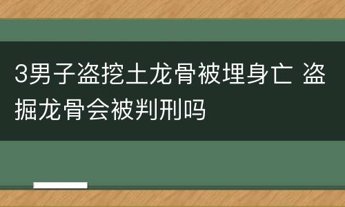 3男子盗挖土龙骨被埋身亡 盗掘龙骨会被判刑吗