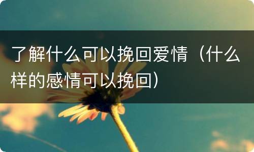 了解什么可以挽回爱情（什么样的感情可以挽回）