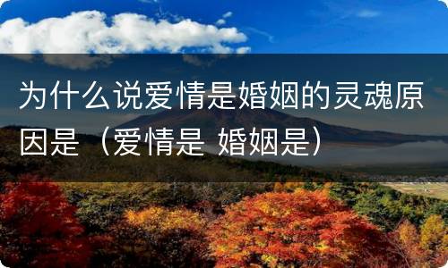为什么说爱情是婚姻的灵魂原因是（爱情是 婚姻是）