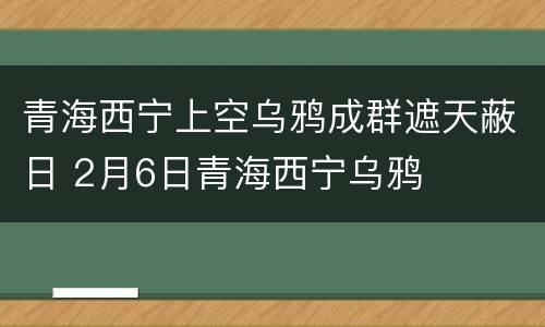青海西宁上空乌鸦成群遮天蔽日 2月6日青海西宁乌鸦