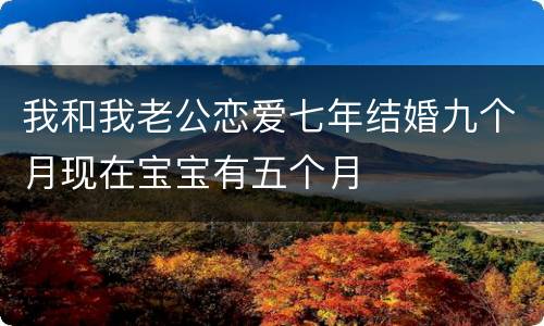 我和我老公恋爱七年结婚九个月现在宝宝有五个月