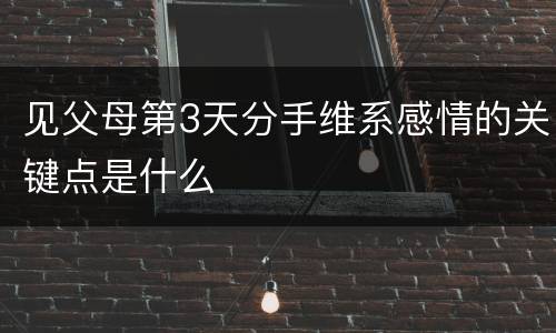 见父母第3天分手维系感情的关键点是什么
