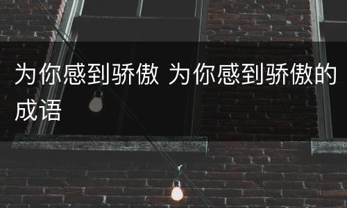 为你感到骄傲 为你感到骄傲的成语