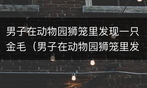 男子在动物园狮笼里发现一只金毛（男子在动物园狮笼里发现一只金毛熊）