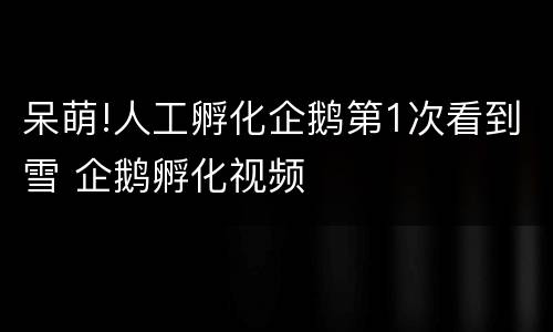 呆萌!人工孵化企鹅第1次看到雪 企鹅孵化视频