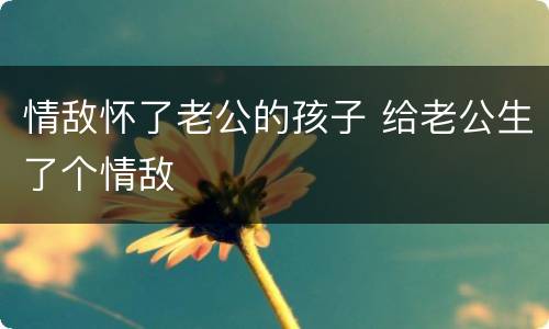 情敌怀了老公的孩子 给老公生了个情敌