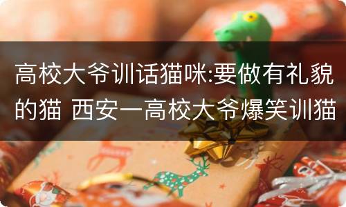 高校大爷训话猫咪:要做有礼貌的猫 西安一高校大爷爆笑训猫视频火了