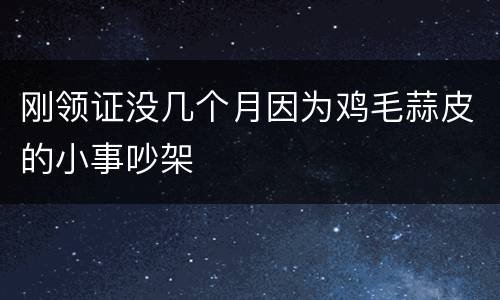 刚领证没几个月因为鸡毛蒜皮的小事吵架
