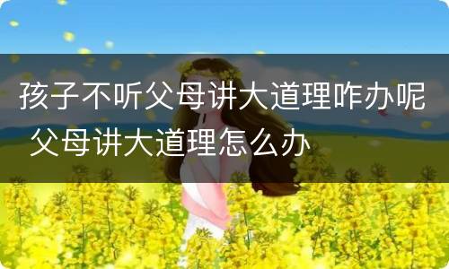 孩子不听父母讲大道理咋办呢 父母讲大道理怎么办