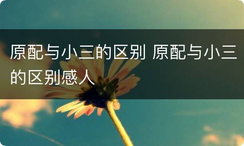原配与小三的区别 原配与小三的区别感人