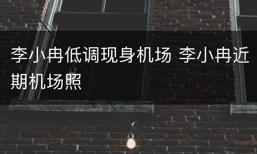 李小冉低调现身机场 李小冉近期机场照