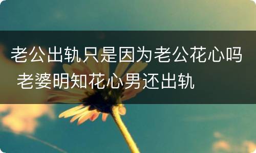 老公出轨只是因为老公花心吗 老婆明知花心男还出轨