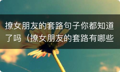 撩女朋友的套路句子你都知道了吗（撩女朋友的套路有哪些）