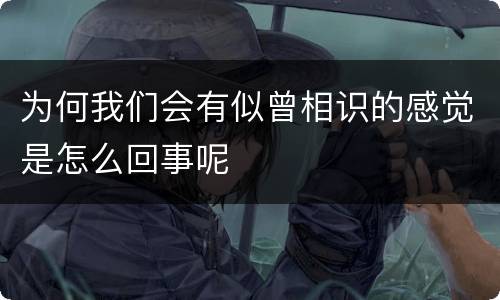 为何我们会有似曾相识的感觉是怎么回事呢