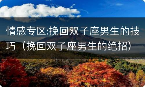 情感专区:挽回双子座男生的技巧（挽回双子座男生的绝招）