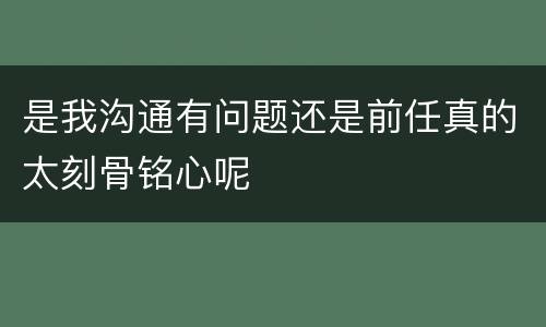 是我沟通有问题还是前任真的太刻骨铭心呢