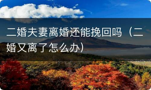 二婚夫妻离婚还能挽回吗（二婚又离了怎么办）