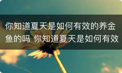 你知道夏天是如何有效的养金鱼的吗 你知道夏天是如何有效的养金鱼的吗为什么