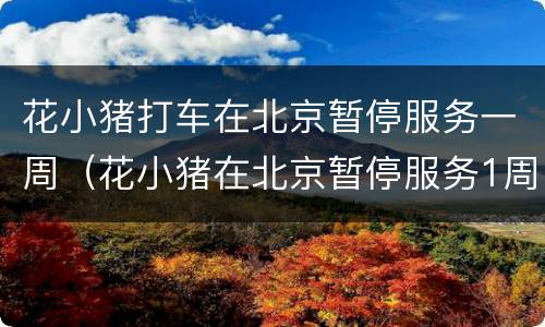 花小猪打车在北京暂停服务一周（花小猪在北京暂停服务1周）