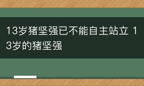 13岁猪坚强已不能自主站立 13岁的猪坚强
