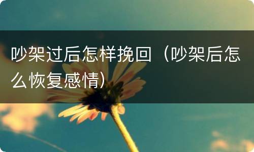 吵架过后怎样挽回（吵架后怎么恢复感情）