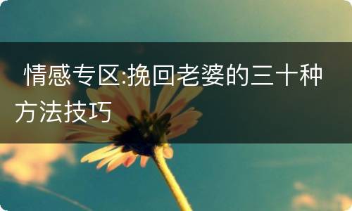  情感专区:挽回老婆的三十种方法技巧