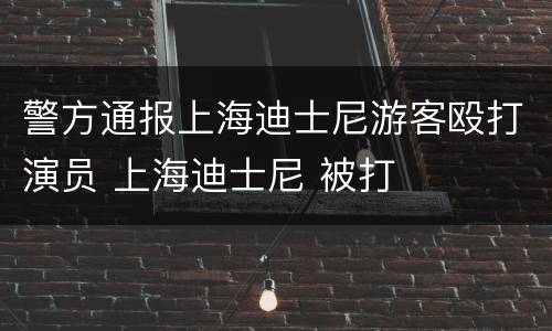 警方通报上海迪士尼游客殴打演员 上海迪士尼 被打