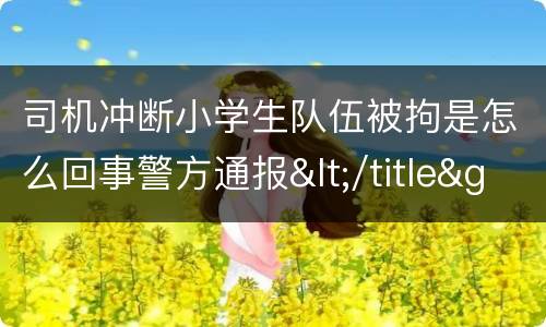 司机冲断小学生队伍被拘是怎么回事警方通报</title>
<meta