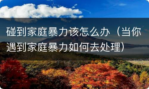 碰到家庭暴力该怎么办（当你遇到家庭暴力如何去处理）