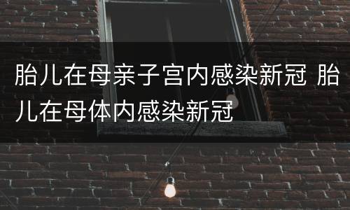 胎儿在母亲子宫内感染新冠 胎儿在母体内感染新冠