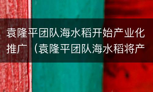 袁隆平团队海水稻开始产业化推广（袁隆平团队海水稻将产业化推广）