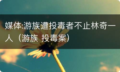 媒体:游族遭投毒者不止林奇一人（游族 投毒案）