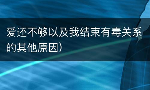 爱还不够以及我结束有毒关系的其他原因）