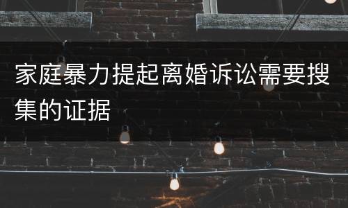 家庭暴力提起离婚诉讼需要搜集的证据