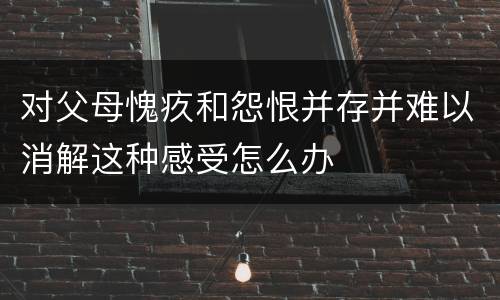 对父母愧疚和怨恨并存并难以消解这种感受怎么办