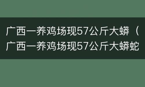 广西一养鸡场现57公斤大蟒（广西一养鸡场现57公斤大蟒蛇 新闻）