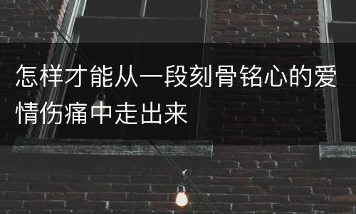 怎样才能从一段刻骨铭心的爱情伤痛中走出来