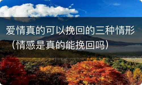 爱情真的可以挽回的三种情形（情感是真的能挽回吗）