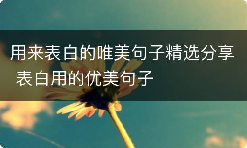 用来表白的唯美句子精选分享 表白用的优美句子