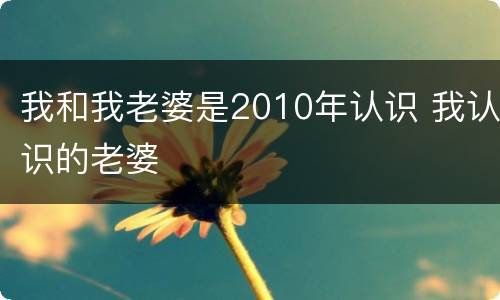 我和我老婆是2010年认识 我认识的老婆