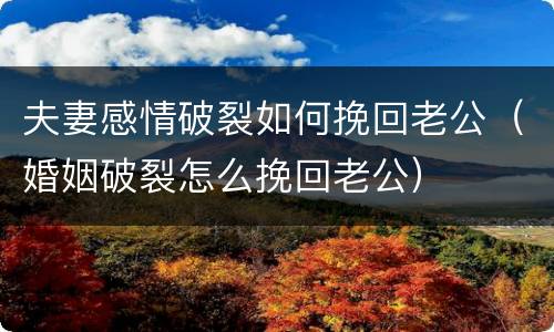 夫妻感情破裂如何挽回老公（婚姻破裂怎么挽回老公）
